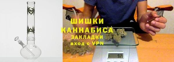 ПСИЛОЦИБИНОВЫЕ ГРИБЫ Алзамай