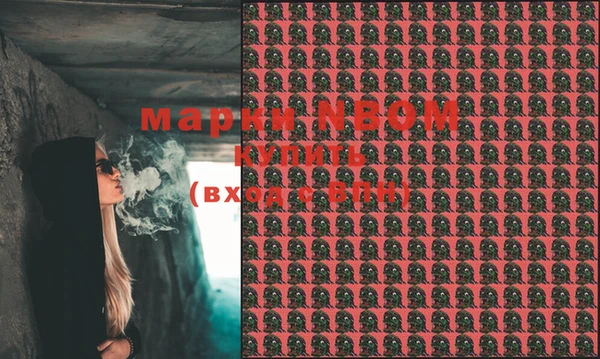 МДПВ Алексин
