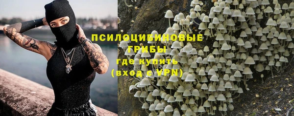 ПСИЛОЦИБИНОВЫЕ ГРИБЫ Алзамай