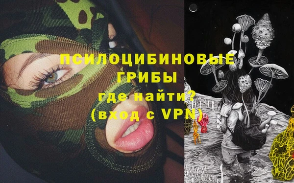ПСИЛОЦИБИНОВЫЕ ГРИБЫ Алзамай