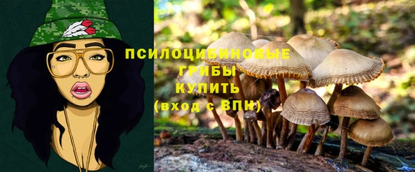 МДПВ Алексин