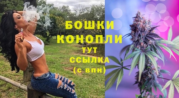 ПСИЛОЦИБИНОВЫЕ ГРИБЫ Алзамай