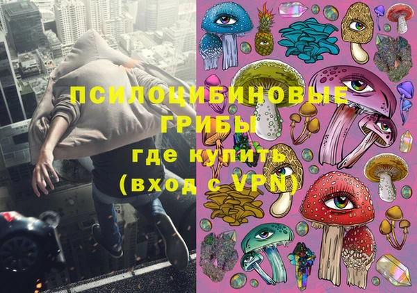 МДПВ Алексин