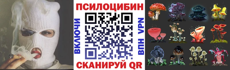 Псилоцибиновые грибы Psilocybe  маркетплейс состав  Набережные Челны 